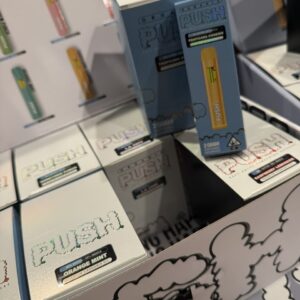 The Push 2G Disposable is your perfect on-the-go companion!