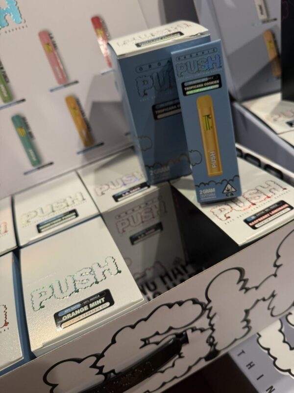 The Push 2G Disposable is your perfect on-the-go companion!